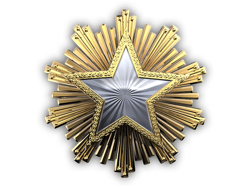 Medaglia al merito di servizio (2016)