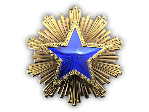 Medaglia al merito di servizio (2016)