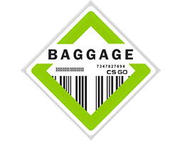 La collezione di Baggage