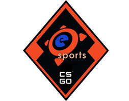 La collezione degli eSport del 2013