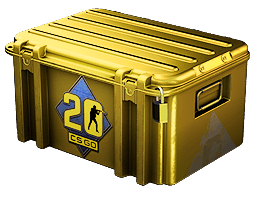 Футляр CS20