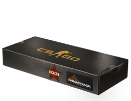 Pachet cu suvenir (Cache DreamHack 2014)