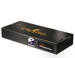DreamHack 2014 Cobblestone Emlékcsomag