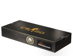 DreamHack 2014 Dust II Souvenir Package