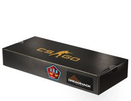 DreamHack 2014 Mirage Hatıra Paketi