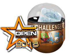 DreamHack Cluj-Napoca 2015 challengers (キラ)