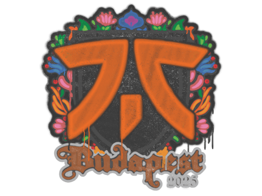 Verzegelde graffiti (Fnatic Boedapest 2025)