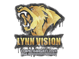 Lynn Vision