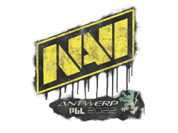 Versiegeltes Graffito (Natus Vincere Antwerpen 2022)