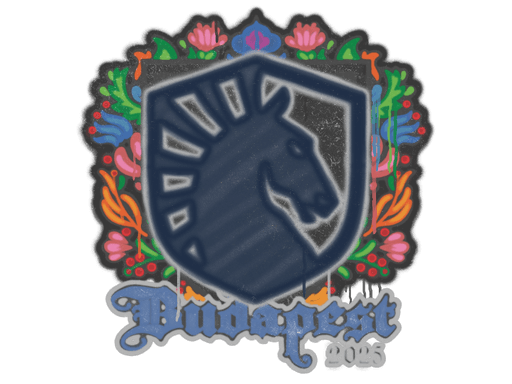 Zalakowane graffiti (Team Liquid Budapeszt 2025)
