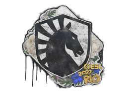 Graffiti sigilat (Team Liquid Rio 2022)