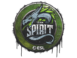 Graffito sigillato (Team Spirit Katowice 2019)