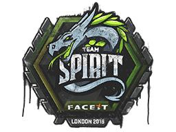 Team Spirit