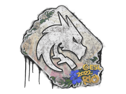 Zabalené graffiti (Team Spirit IEM Rio 2022)