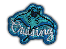 Nášivka (Cruising Ray)