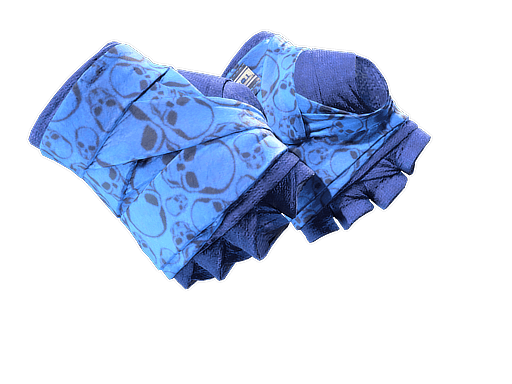 Hand Wraps