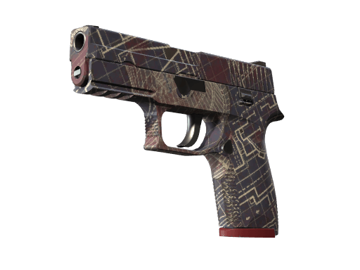 P250 (Facility Draft)