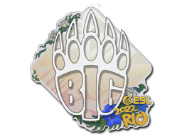 BIG Рио-2022