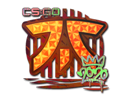 Çıkartma (Fnatic Holo 2020 RMR)