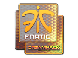 Fnatic (голографическая) DreamHack 2014