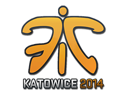 Fnatic Катовице-2014