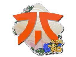 Fnatic Рио-2022