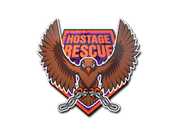 Hostage Rescue