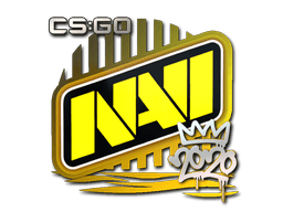 Aufkleber (Natus Vincere RMR 2020)