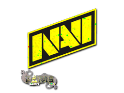 Aufkleber (Natus Vincere Glitzer Paris 2023)