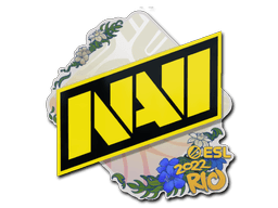 Aufkleber (Natus Vincere Rio 2022)