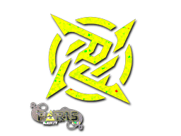 Aufkleber (Ninjas in Pyjamas Glitzer Paris 2023)