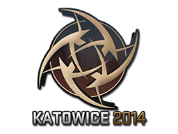 Ninjas in Pyjamas Катовице-2014