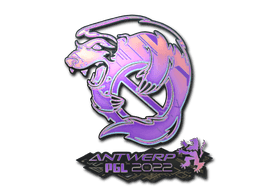 Çıkartma (Outsiders Holo Antwerp 2022)