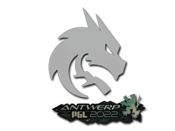 Aufkleber (Team Spirit Antwerpen 2022)