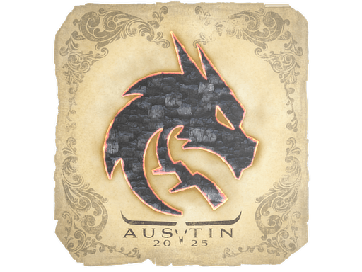 Team Spirit Austin 2025