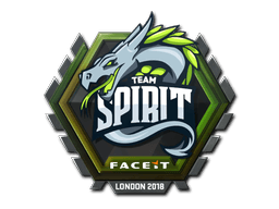 Наклейки с Team Spirit