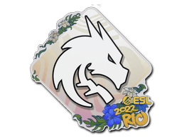Aufkleber (Team Spirit Rio 2022)