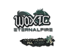 Aufkleber (woxic Antwerpen 2022)
